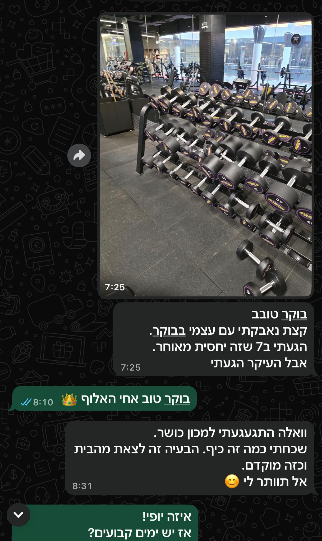 צילום מסך וואטסאפ של שירן